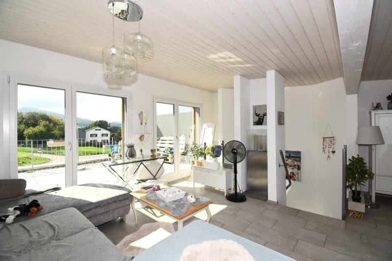 Modern semi-detached house with a far-reaching view and large terrace in Rodersdorf SO (1)