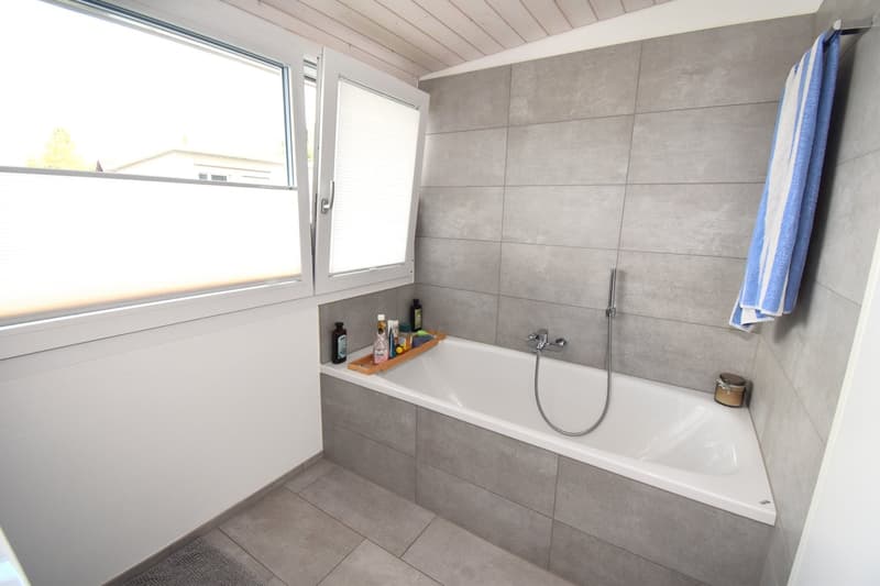 Modern semi-detached house with a far-reaching view and large terrace in Rodersdorf SO (13)