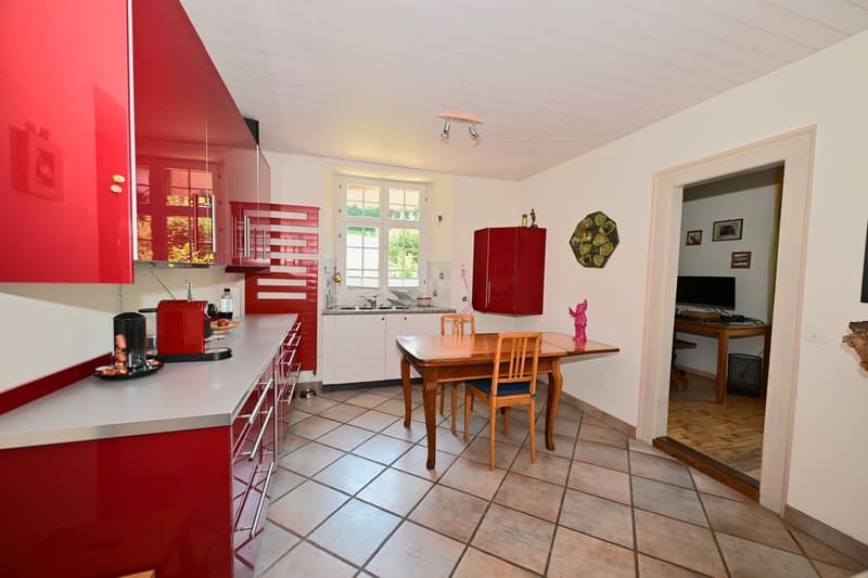 Propriété en appartement dans une ferme historique avec confort de vie moderne et jardin de rêve (4)