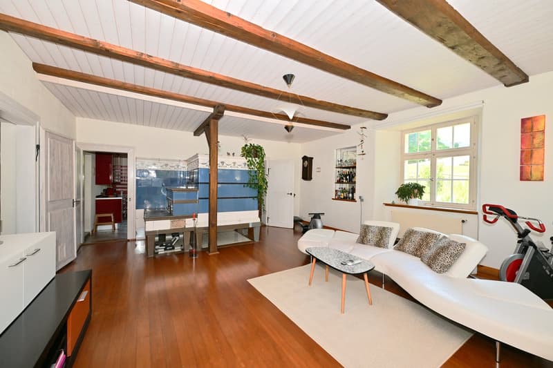Propriété en appartement dans une ferme historique avec confort de vie moderne et jardin de rêve (2)