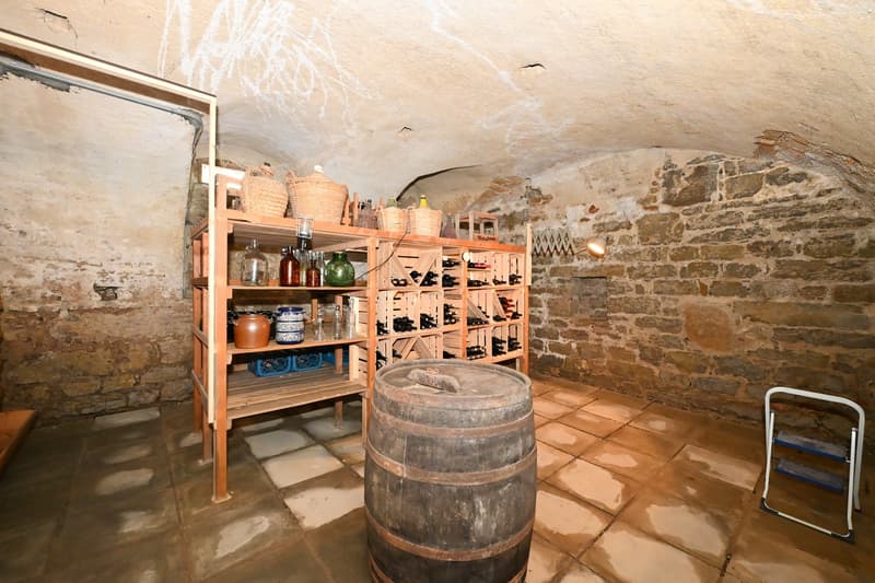 Propriété en appartement dans une ferme historique avec confort de vie moderne et jardin de rêve (27)