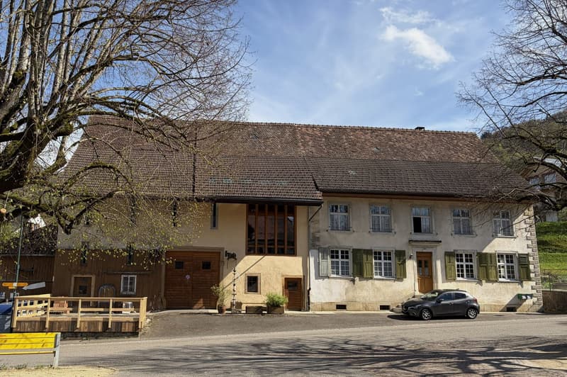 Propriété en appartement dans une ferme historique avec confort de vie moderne et jardin de rêve (32)