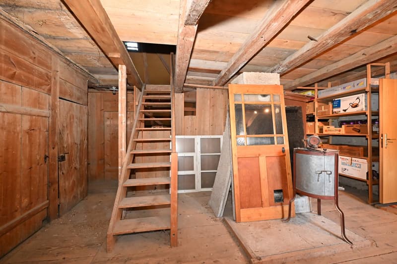 Propriété en appartement dans une ferme historique avec confort de vie moderne et jardin de rêve (28)