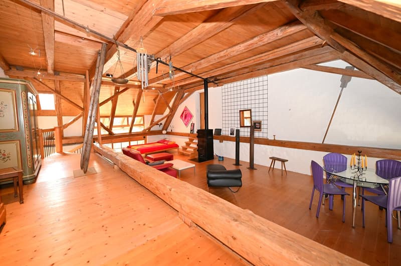 Propriété en appartement dans une ferme historique avec confort de vie moderne et jardin de rêve (11)
