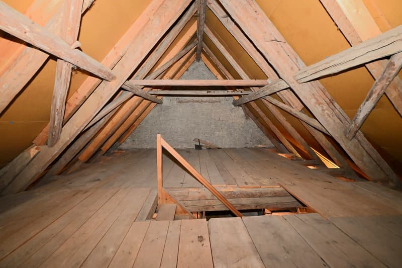 Propriété en appartement dans une ferme historique avec confort de vie moderne et jardin de rêve (29)