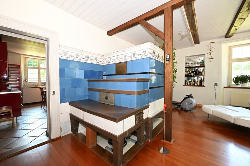 Propriété en appartement dans une ferme historique avec confort de vie moderne et jardin de rêve (20)