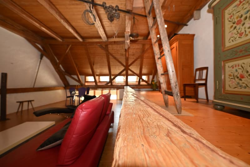 Propriété en appartement dans une ferme historique avec confort de vie moderne et jardin de rêve (14)