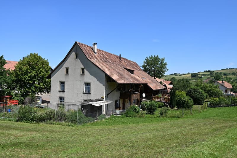 Propriété en appartement dans une ferme historique avec confort de vie moderne et jardin de rêve (33)