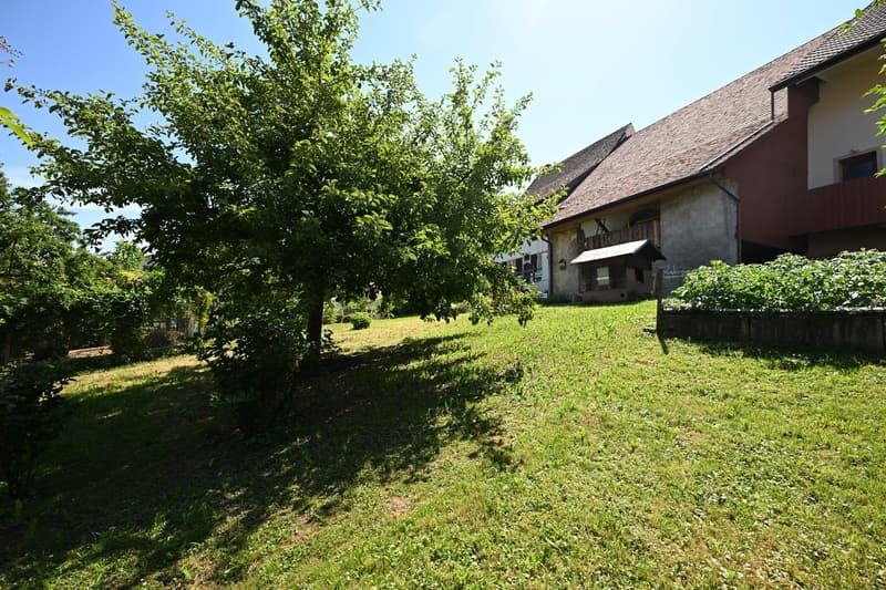Propriété en appartement dans une ferme historique avec confort de vie moderne et jardin de rêve (35)