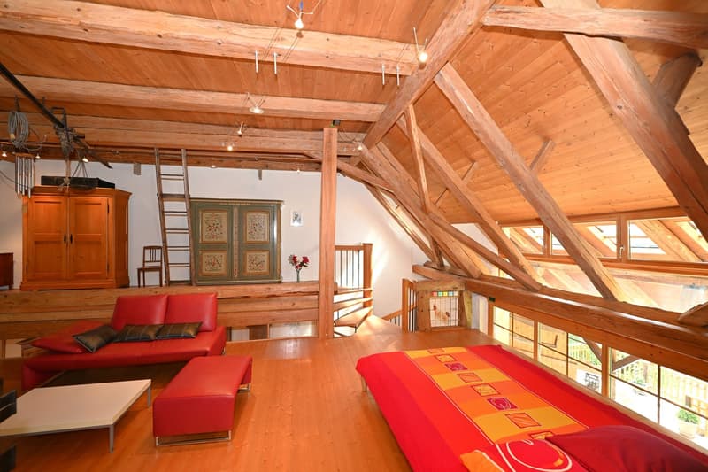 Propriété en appartement dans une ferme historique avec confort de vie moderne et jardin de rêve (12)