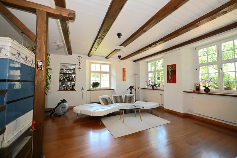 Propriété en appartement dans une ferme historique avec confort de vie moderne et jardin de rêve (1)
