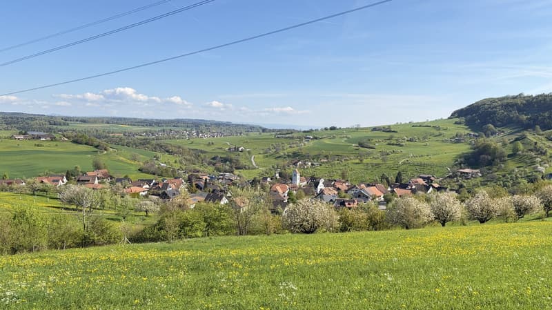 Propriété en appartement dans une ferme historique avec confort de vie moderne et jardin de rêve (36)