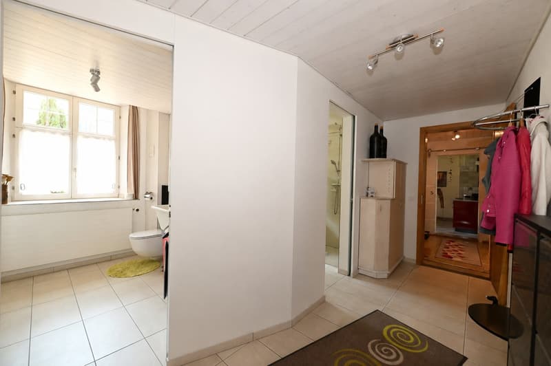 Propriété en appartement dans une ferme historique avec confort de vie moderne et jardin de rêve (19)