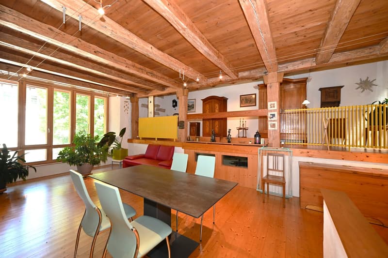 Propriété en appartement dans une ferme historique avec confort de vie moderne et jardin de rêve (10)