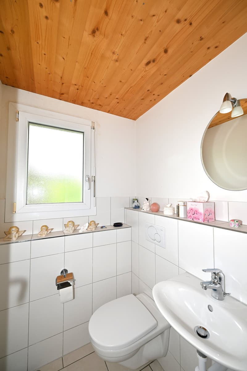 Casa residenziale attraente/casa a più generazioni in una zona residenziale molto richiesta ad Arlesheim (19)