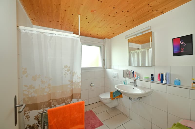 Attraktives Dreifamilienhaus/Mehrgenerationenhaus an begehrter Wohnlage in Arlesheim (18)