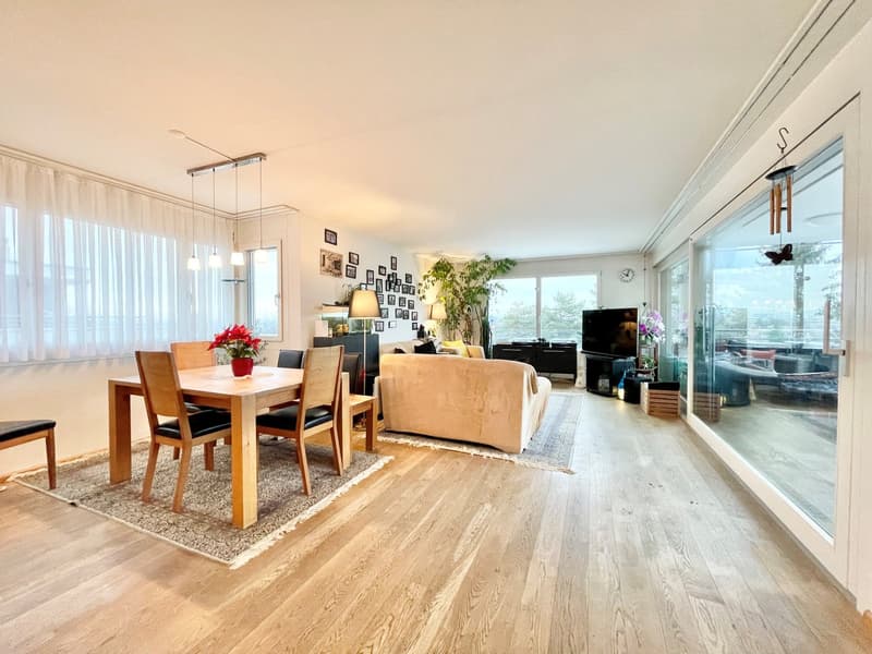Modernes Terrassenhaus an ruhiger und zentraler Lage in Allschwil (3)