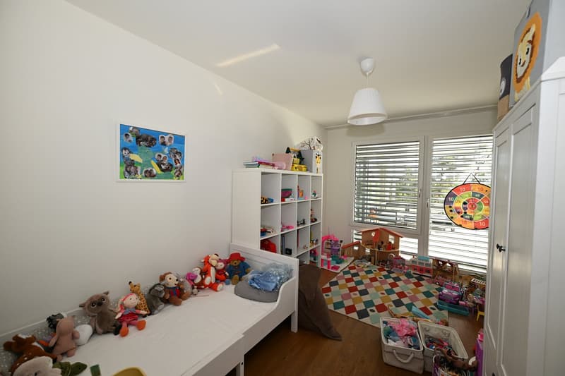Modernes Terrassenhaus an ruhiger und zentraler Lage in Allschwil (10)