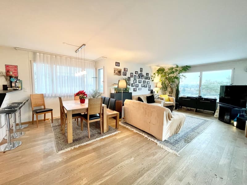 Modernes Terrassenhaus an ruhiger und zentraler Lage in Allschwil (1)