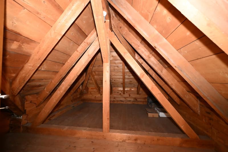 Grosszügiges Wohnhaus mit Bebauungspotential an begehrter Lage in Binningen (15)