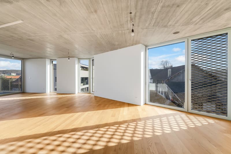 Moderne, hindernisfreie Dachwohnung mit zwei grosszügigen Terrassen (6)