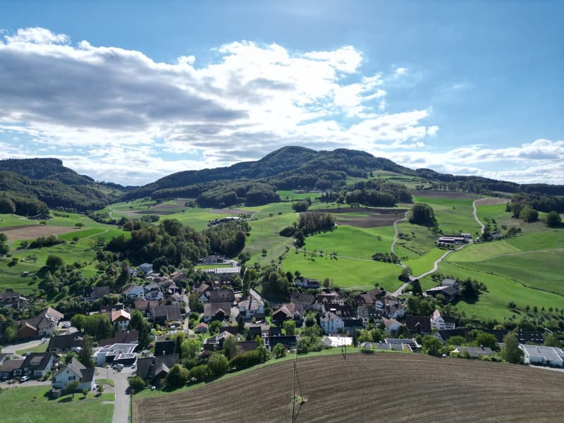 Baulandparzelle an exklusiver Aussichtslage in Zeglingen BL (4)
