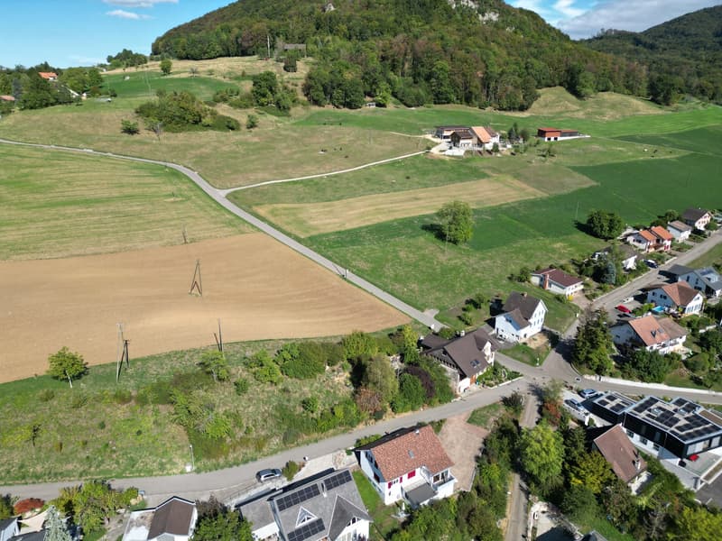 Baulandparzelle an exklusiver Aussichtslage in Zeglingen BL (8)