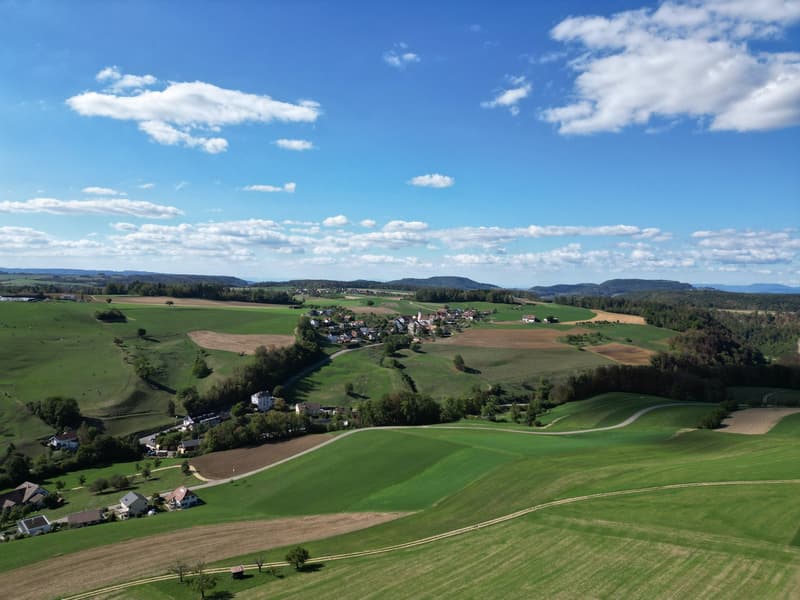 Baulandparzelle an exklusiver Aussichtslage in Zeglingen BL (15)