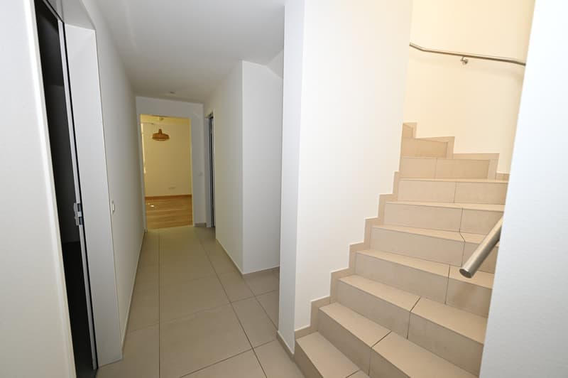 Modernes Terrassenhaus an ruhiger und zentraler Lage in Allschwil (17)