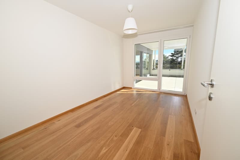 Modernes Terrassenhaus an ruhiger und zentraler Lage in Allschwil (8)