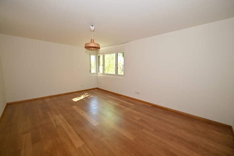 Modernes Terrassenhaus an ruhiger und zentraler Lage in Allschwil (18)