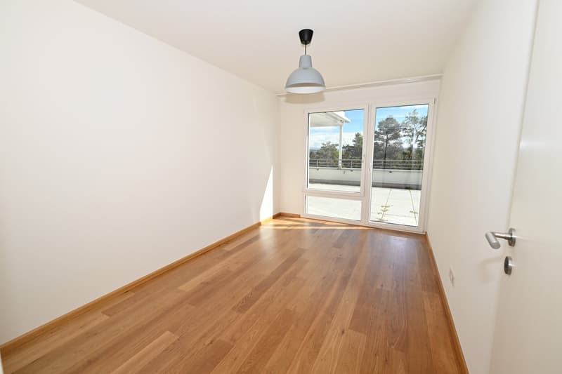 Modernes Terrassenhaus an ruhiger und zentraler Lage in Allschwil (9)