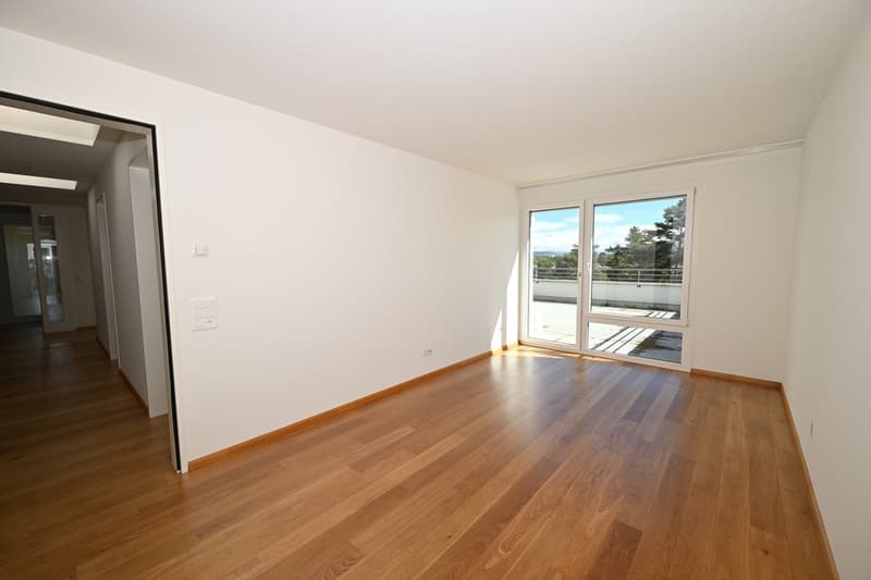Modernes Terrassenhaus an ruhiger und zentraler Lage in Allschwil (11)