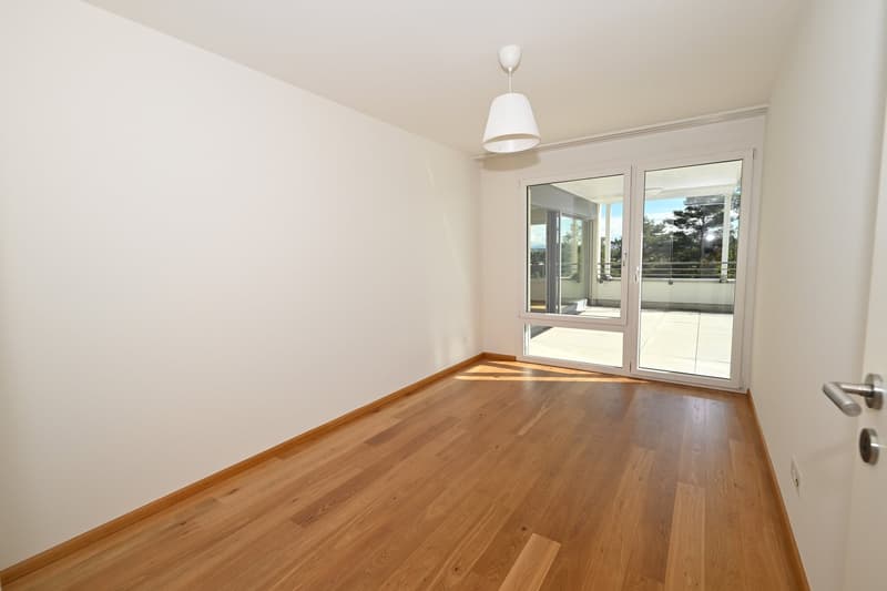 Modernes Terrassenhaus an ruhiger und zentraler Lage in Allschwil (7)