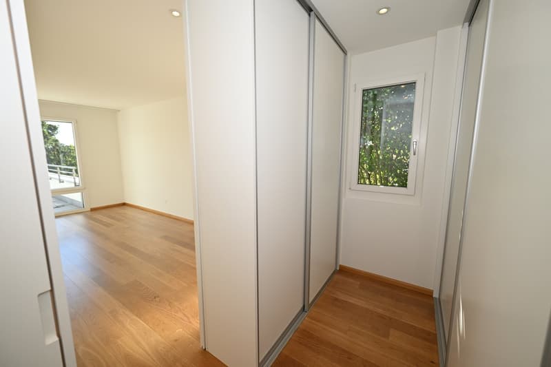 Modernes Terrassenhaus an ruhiger und zentraler Lage in Allschwil (12)