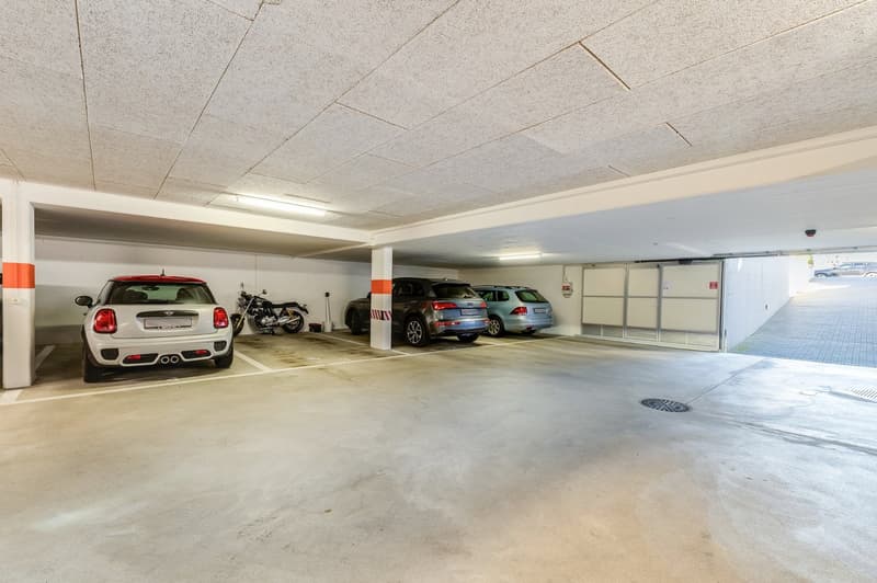 Exclusive 4.5-Room Apartment with Private Lift Access in a Prime Allschwil Location (21)