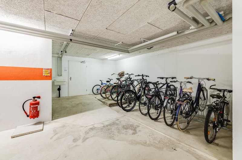 Exclusive 4.5-Room Apartment with Private Lift Access in a Prime Allschwil Location (22)