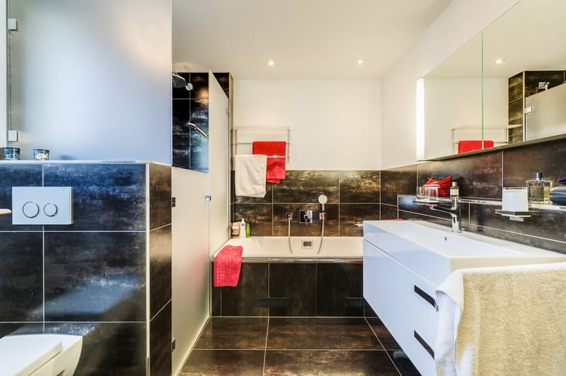 Exclusive 4.5-Room Apartment with Private Lift Access in a Prime Allschwil Location (15)