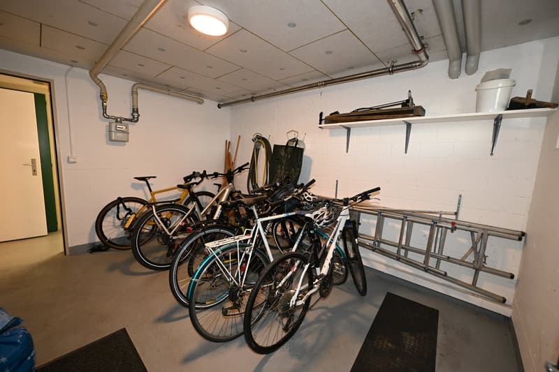 Grosszügige und ruhig gelegene 5-Zimmer-Wohnung mit Garage an exklusiver Lage auf dem Bruderholz (18)