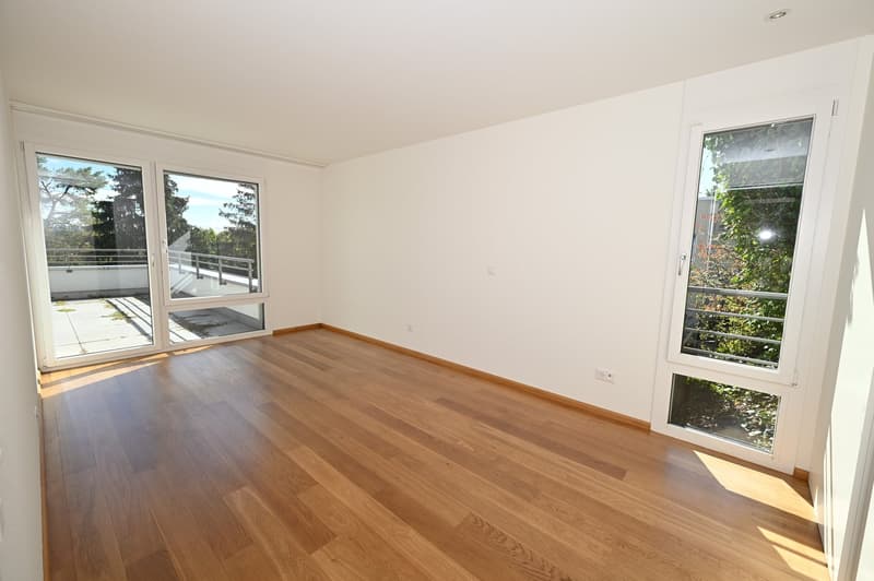 Modernes Terrassenhaus an ruhiger und zentraler Lage in Allschwil (10)