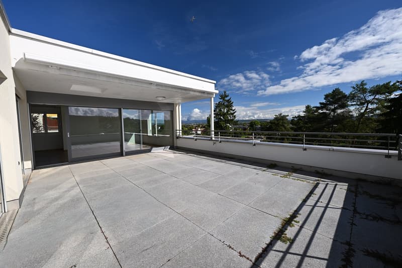 Modernes Terrassenhaus an ruhiger und zentraler Lage in Allschwil (23)