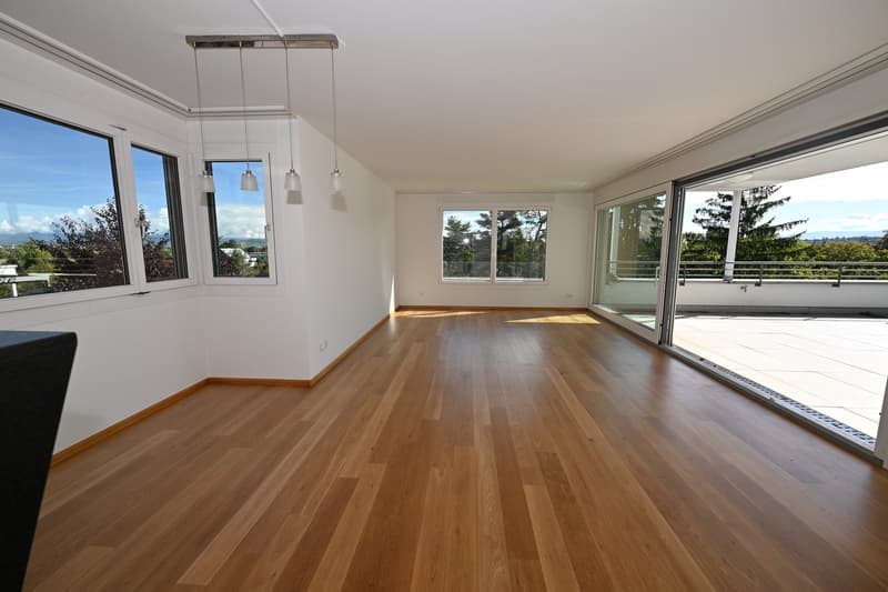 Modernes Terrassenhaus an ruhiger und zentraler Lage in Allschwil (4)