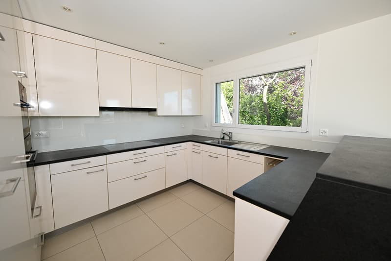Modernes Terrassenhaus an ruhiger und zentraler Lage in Allschwil (6)