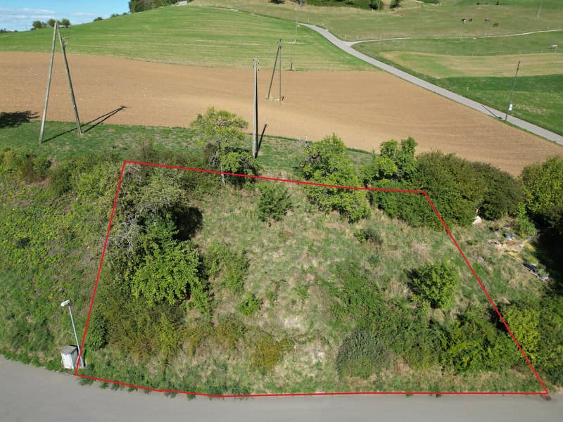 Baulandparzelle an exklusiver Aussichtslage in Zeglingen BL (3)