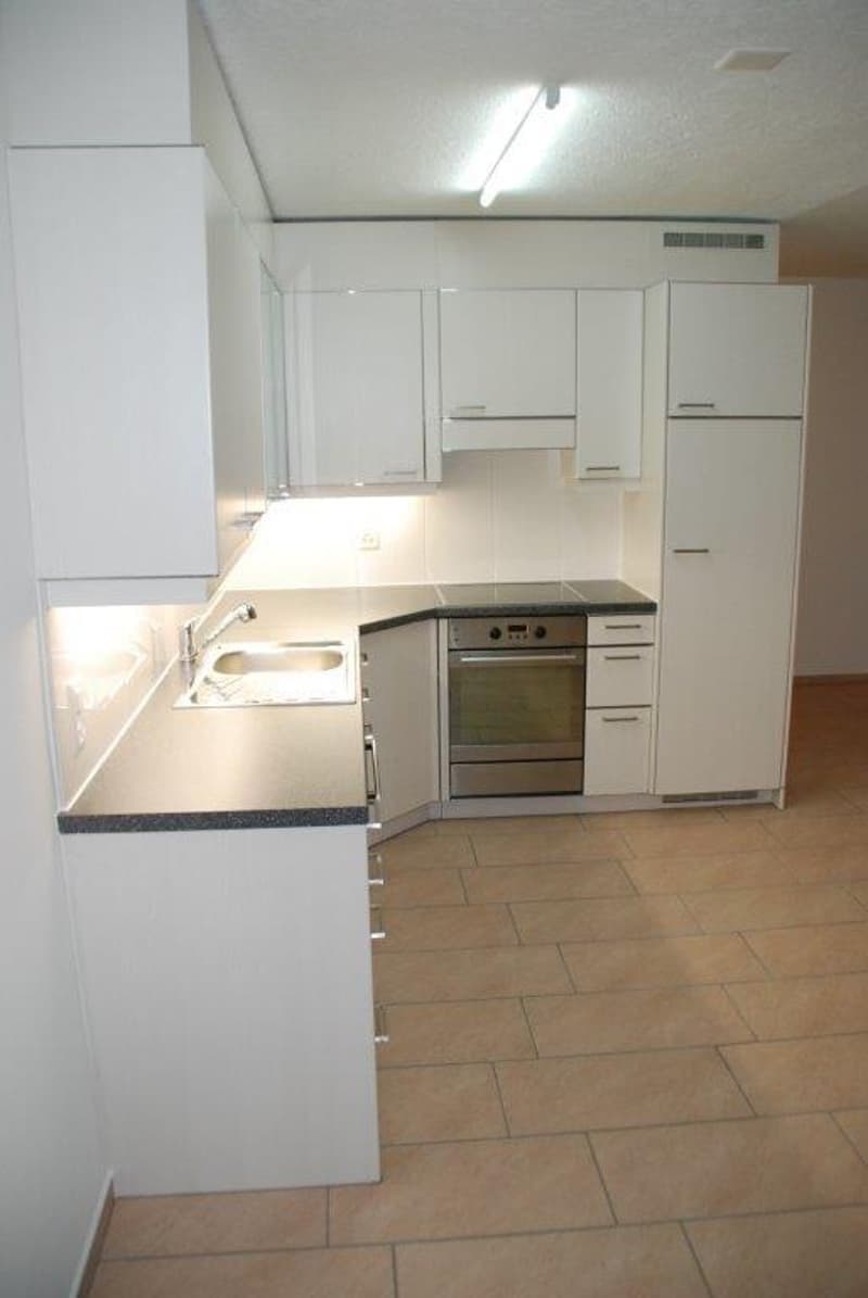 Appartamento di 5.5 locali pronto per essere occupato con balcone e bella vista a Dielsdorf (2)