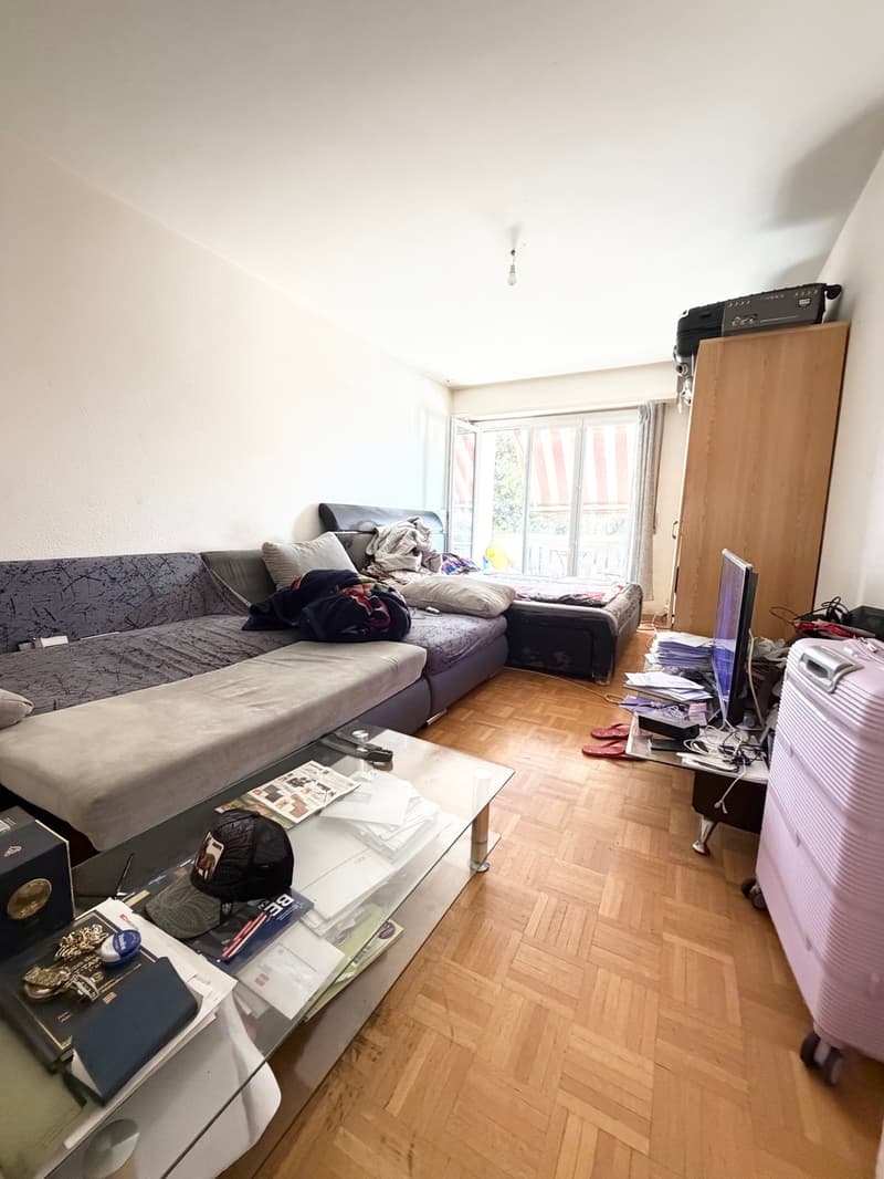Charming 1.5 room apartment in Prilly (1)