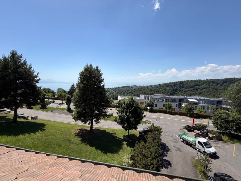 Appartamento di 3.5 locali e 103 m2 con vista libera (9)