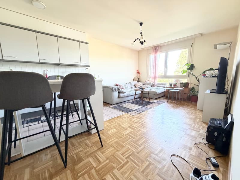 Appartamento di 2,5 locali con 45 m2 e vista libera (1)