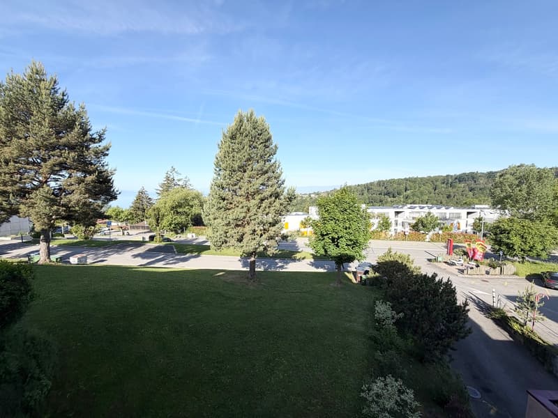 Appartamento di 2,5 locali con 45 m2 e vista libera (5)