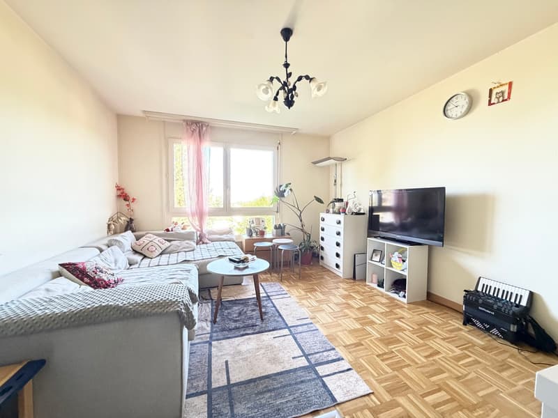 Appartamento di 2,5 locali con 45 m2 e vista libera (2)